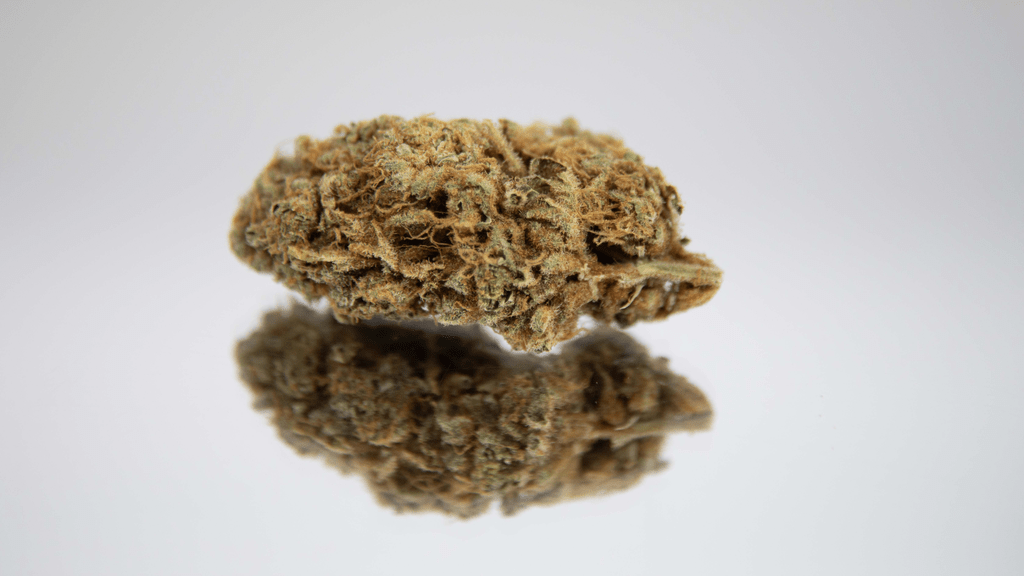 The Flavor, Power, and Legacy of Girl Scout Cookies